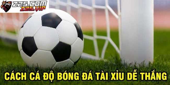 Ano ang Over/Under Betting? Basahin ang Football Odds Over/Under 2024